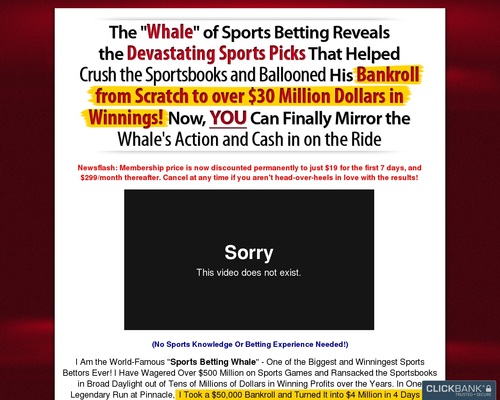 The Whale Acquired $30+ Million Having a bet On Sports actions! $500 Monthly Habitual!